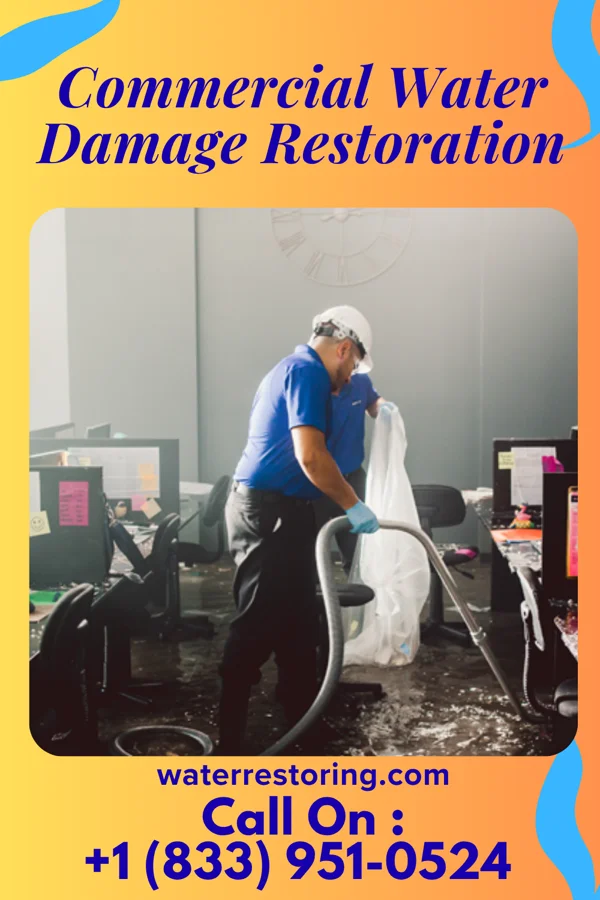 Commercial Water Damage Restoration in Columbine, CO